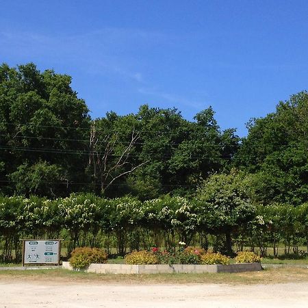 Motel Des Bruyeres Lamotte-Beuvron Exteriér fotografie