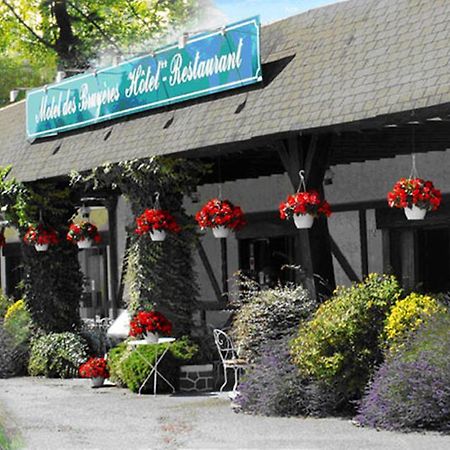 Motel Des Bruyeres Lamotte-Beuvron Exteriér fotografie