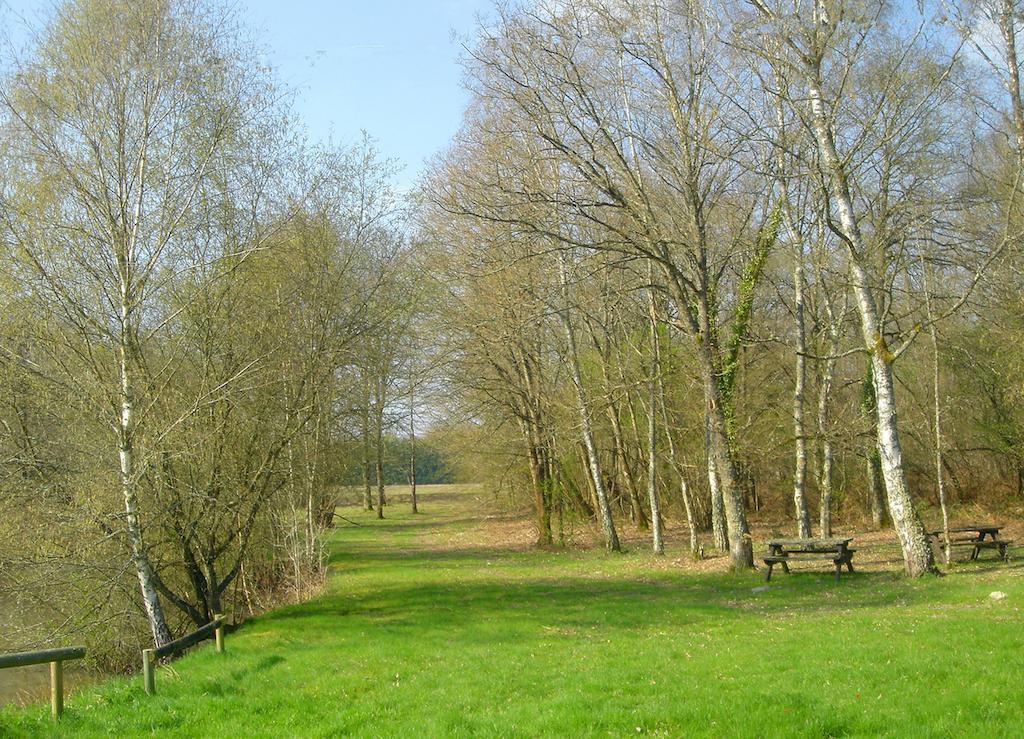 Motel Des Bruyeres Lamotte-Beuvron Exteriér fotografie