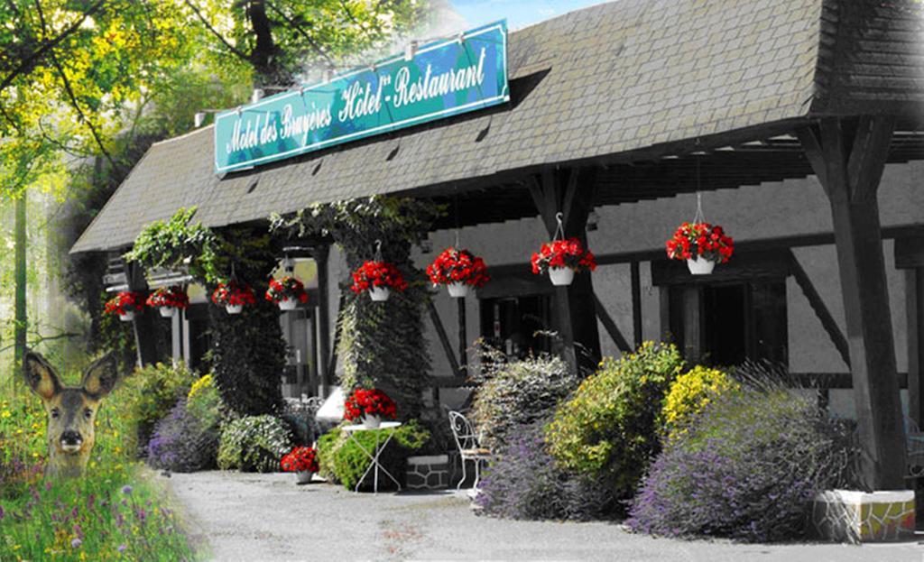 Motel Des Bruyeres Lamotte-Beuvron Exteriér fotografie
